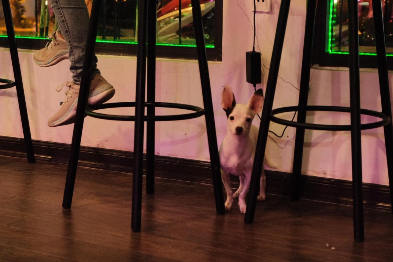 Mio. & Bar *