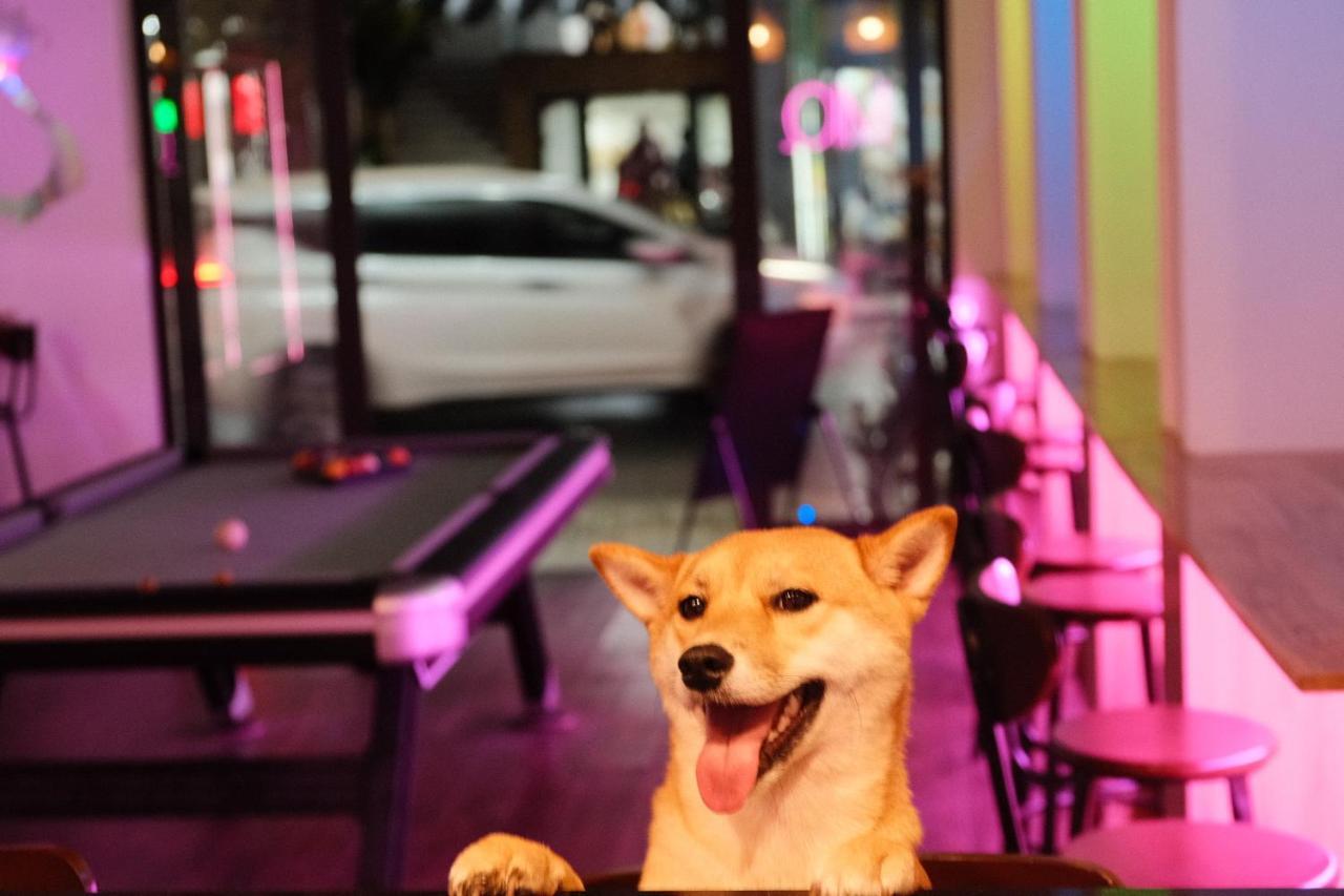 Nhà trọ Mio. & Bar